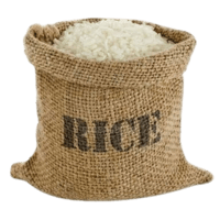 Rice
