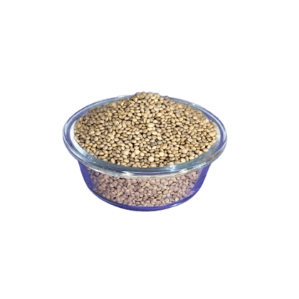 Whole Masoor | Sabut Masoor